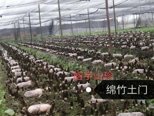 &#20048;&#40060;&#32593;&#39029;&#29256;&#45;&#20048;&#40060;&#40;&#20013;&#22269;&#41;&#23448;&#26041;