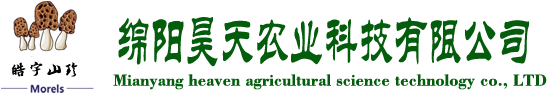 &#20048;&#40060;&#32593;&#39029;&#29256;&#45;&#20048;&#40060;&#40;&#20013;&#22269;&#41;&#23448;&#26041;