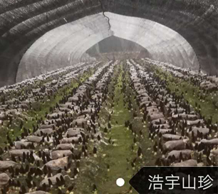 &#20048;&#40060;&#32593;&#39029;&#29256;&#45;&#20048;&#40060;&#40;&#20013;&#22269;&#41;&#23448;&#26041;