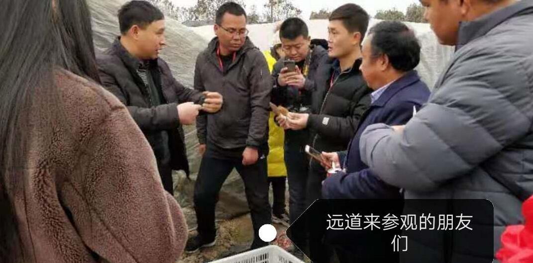 &#20048;&#40060;&#32593;&#39029;&#29256;&#45;&#20048;&#40060;&#40;&#20013;&#22269;&#41;&#23448;&#26041;
